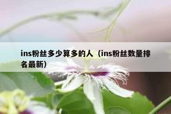 ins粉丝多少算多的人（ins粉丝数量排名最新） 第1张