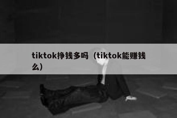 tiktok挣钱多吗（tiktok能赚钱么） 第1张