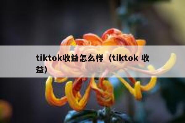 tiktok收益怎么样（tiktok 收益） 第1张
