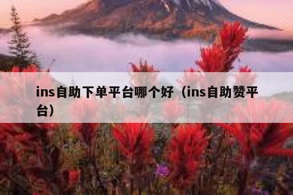 ins自助下单平台哪个好(ins自助赞平台) 第1张 ins自助下单平台哪个好(ins自助赞平台) 第1张