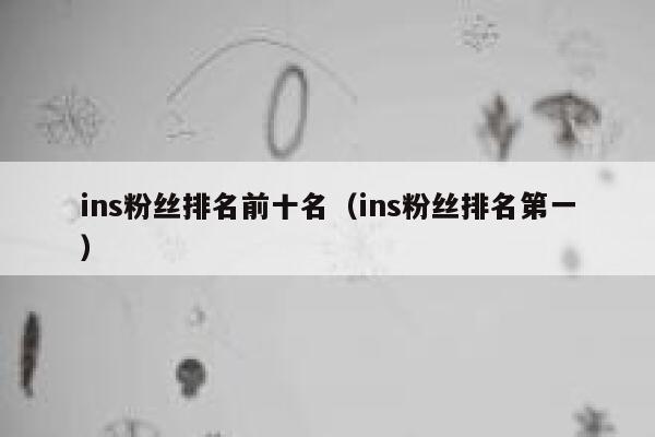 ins粉丝排名前十名(ins粉丝排名第一) 第1张 ins粉丝排名前十名(ins粉丝排名第一) 第1张