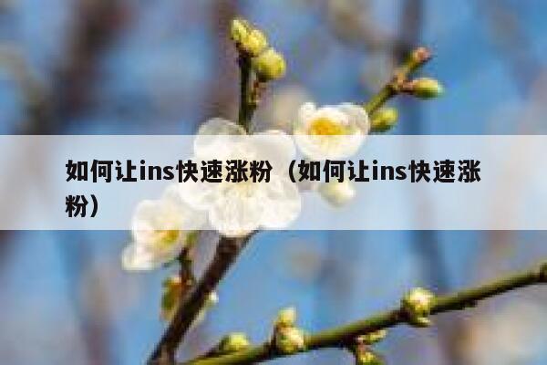 如何让ins快速涨粉(如何让ins快速涨粉) 第1张 如何让ins快速涨粉(如何让ins快速涨粉) 第1张