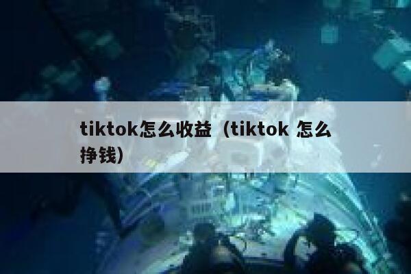 tiktok怎么收益（tiktok 怎么挣钱） 第1张