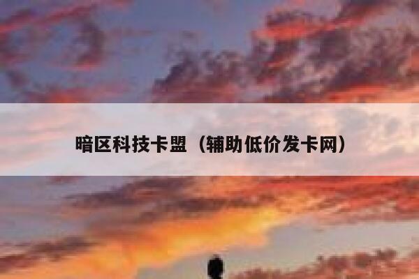 暗区科技卡盟（辅助低价发卡网） 第1张