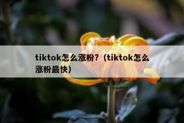 tiktok怎么涨粉?（tiktok怎么涨粉最快） 第1张