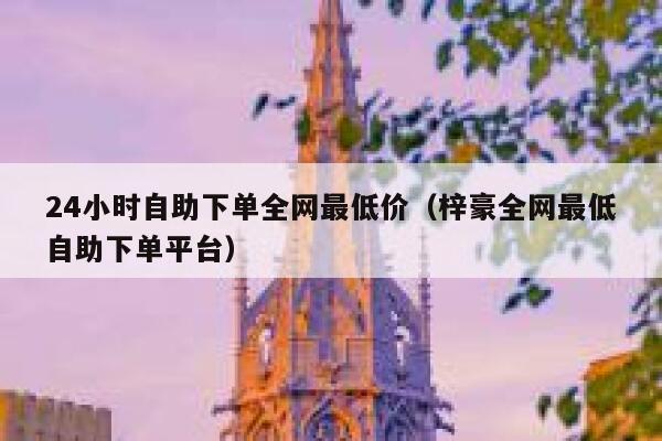 24小时自助下单全网最低价（梓豪全网最低自助下单平台） 第1张