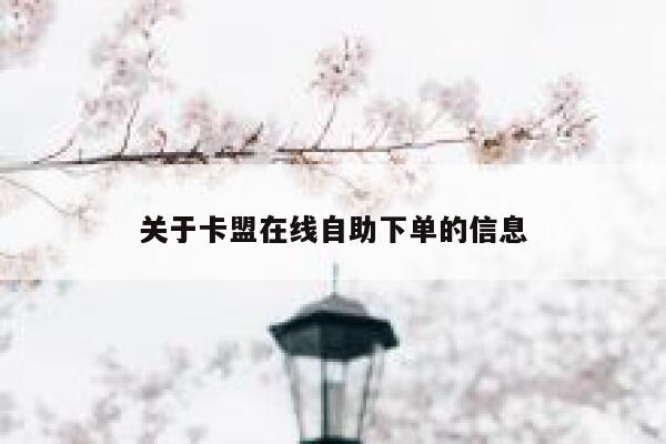 关于卡盟在线自助下单的信息 第1张