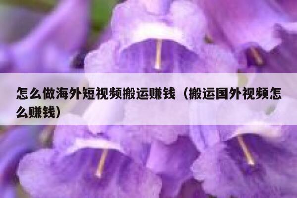 怎么做海外短视频搬运赚钱（搬运国外视频怎么赚钱） 第1张