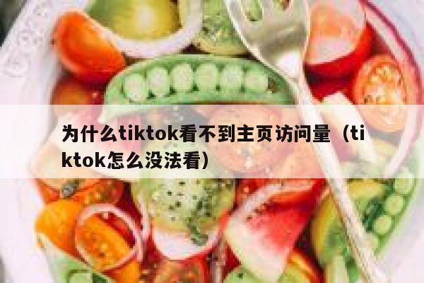 为什么tiktok看不到主页访问量（tiktok怎么没法看） 第1张