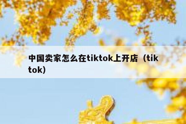 中国卖家怎么在tiktok上开店（tiktok） 第1张