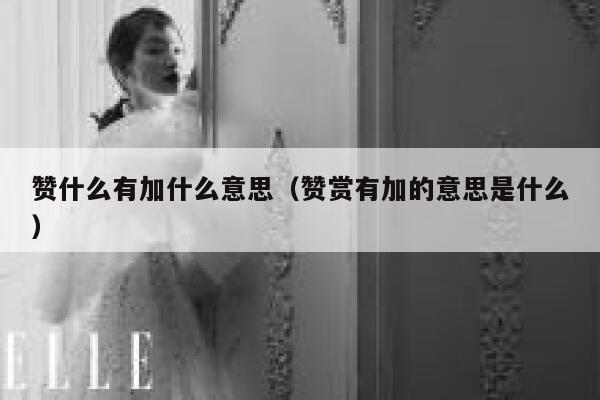 赞什么有加什么意思（赞赏有加的意思是什么） 第1张