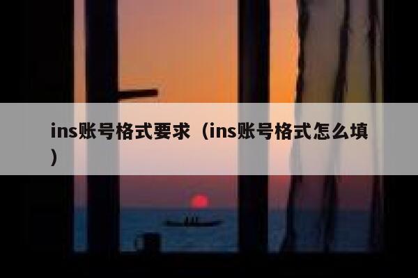 ins账号格式要求（ins账号格式怎么填） 第1张