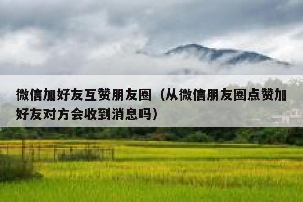微信加好友互赞朋友圈（从微信朋友圈点赞加好友对方会收到消息吗） 第1张