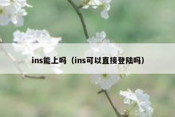 ins能上吗（ins可以直接登陆吗） 第1张