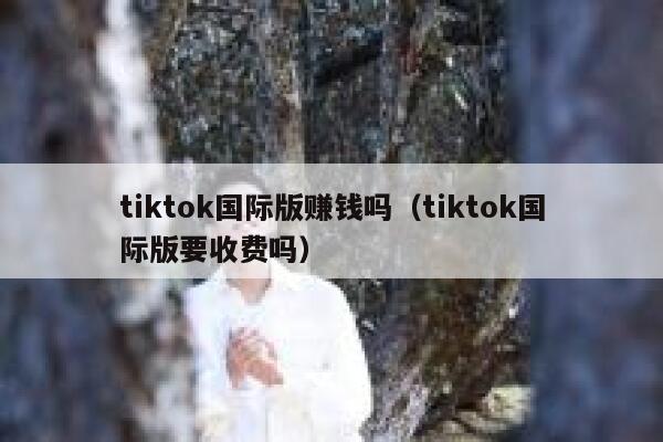 tiktok国际版赚钱吗（tiktok国际版要收费吗） 第1张