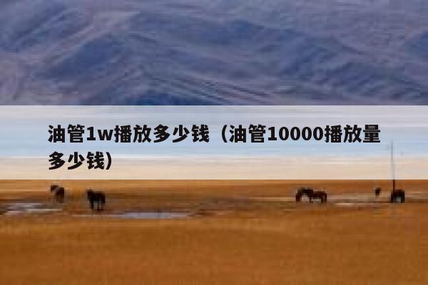 油管1w播放多少钱（油管10000播放量多少钱） 第1张