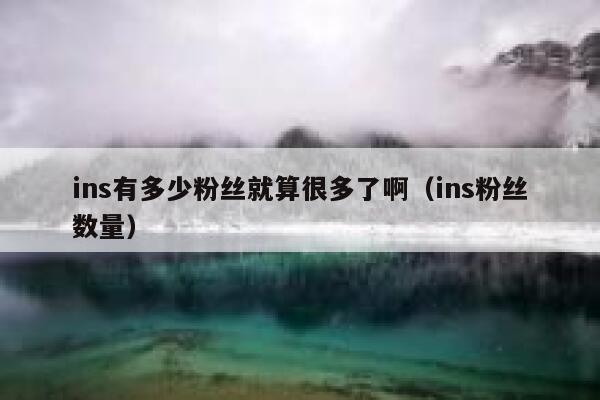ins有多少粉丝就算很多了啊（ins粉丝数量） 第1张