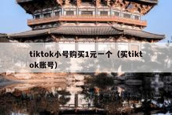 tiktok小号购买1元一个（买tiktok账号） 第1张