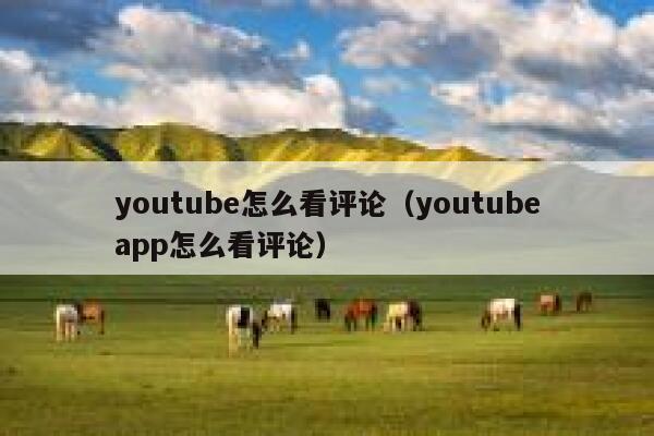 youtube怎么看评论（youtubeapp怎么看评论） 第1张