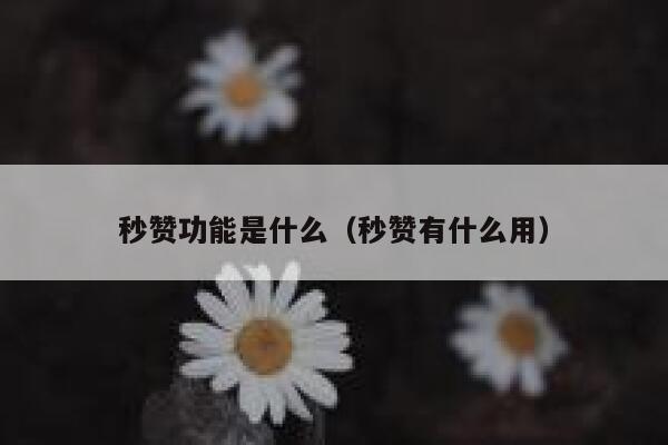 秒赞功能是什么（秒赞有什么用） 第1张