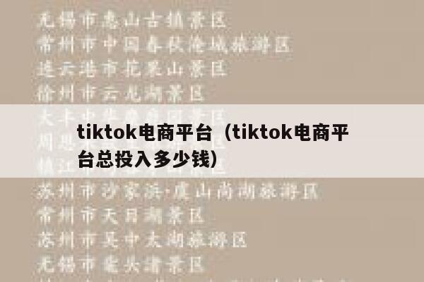 tiktok电商平台（tiktok电商平台总投入多少钱） 第1张