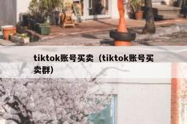 tiktok账号买卖（tiktok账号买卖群） 第1张