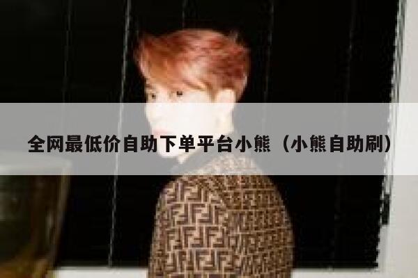 全网最低价自助下单平台小熊（小熊自助刷） 第1张