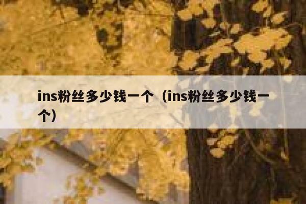 ins粉丝多少钱一个(ins粉丝多少钱一个) 第1张 ins粉丝多少钱一个(ins粉丝多少钱一个) 第1张