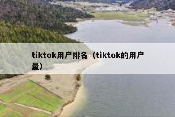 tiktok用户排名（tiktok的用户量） 第1张