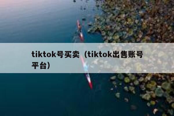 tiktok号买卖（tiktok出售账号平台） 第1张