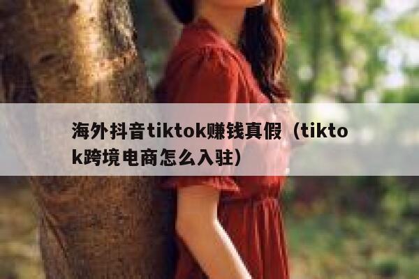 海外抖音tiktok赚钱真假（tiktok跨境电商怎么入驻） 第1张