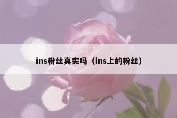 ins粉丝真实吗（ins上的粉丝） 第1张