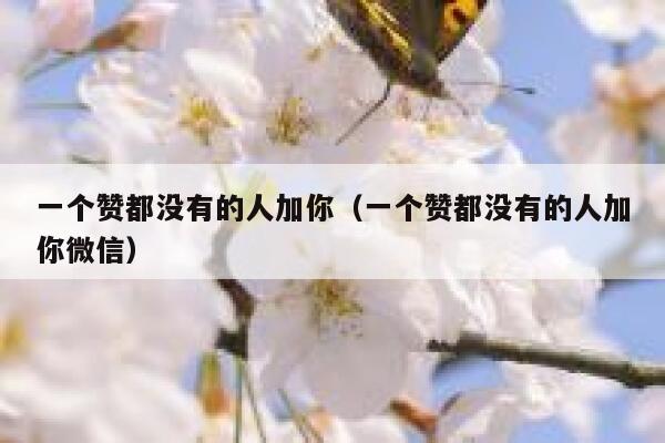 一个赞都没有的人加你(一个赞都没有的人加你微信) 第1张 一个赞都没有的人加你(一个赞都没有的人加你微信) 第1张