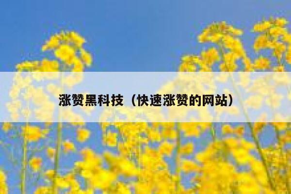 涨赞黑科技(快速涨赞的网站) 第1张 涨赞黑科技(快速涨赞的网站) 第1张