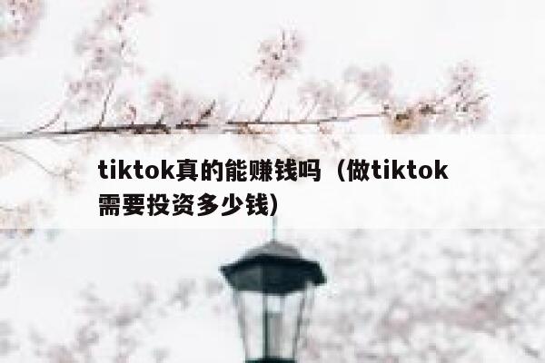 tiktok真的能赚钱吗（做tiktok需要投资多少钱） 第1张