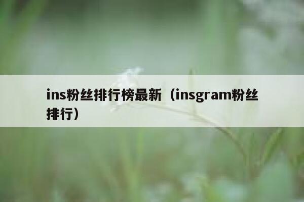 ins粉丝排行榜最新（insgram粉丝排行） 第1张