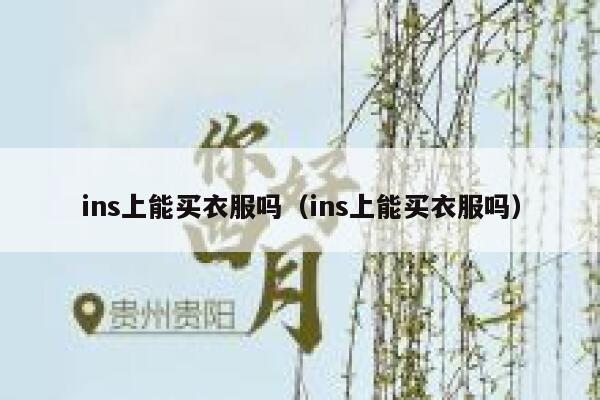 ins上能买衣服吗（ins上能买衣服吗） 第1张