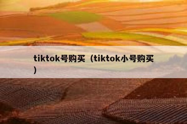 tiktok号购买（tiktok小号购买） 第1张