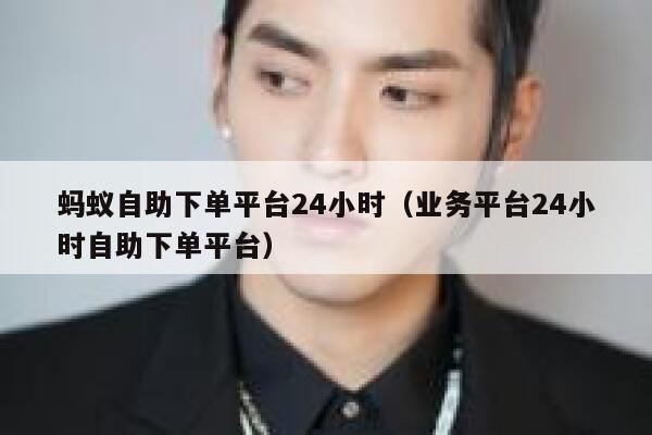 蚂蚁自助下单平台24小时（业务平台24小时自助下单平台） 第1张