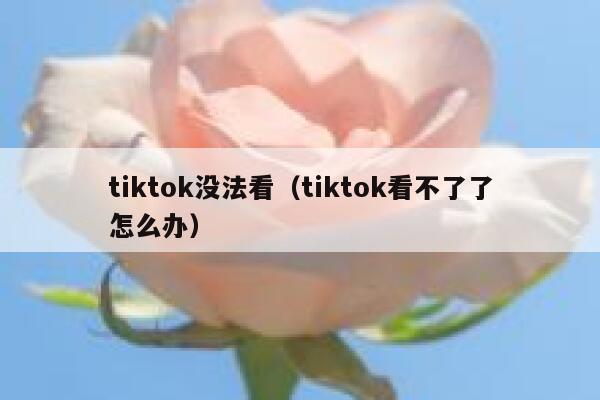 tiktok没法看（tiktok看不了了怎么办） 第1张