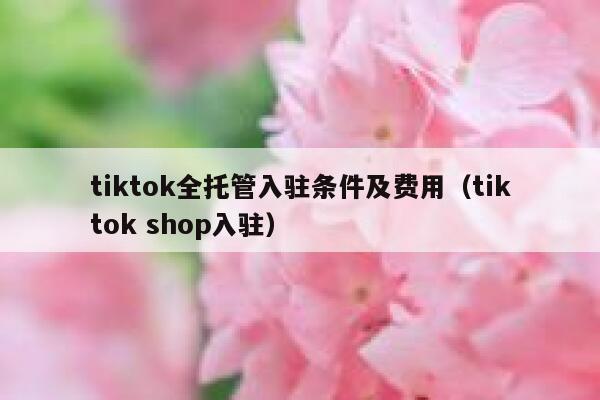 tiktok全托管入驻条件及费用(tiktok shop入驻) 第1张 tiktok全托管入驻条件及费用(tiktok shop入驻) 第1张