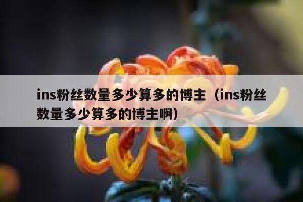 ins粉丝数量多少算多的博主（ins粉丝数量多少算多的博主啊） 第1张