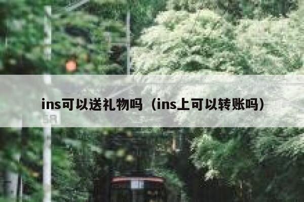 ins可以送礼物吗（ins上可以转账吗） 第1张