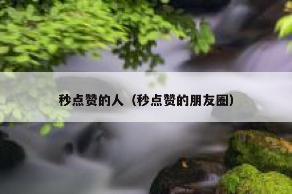 秒点赞的人（秒点赞的朋友圈） 第1张