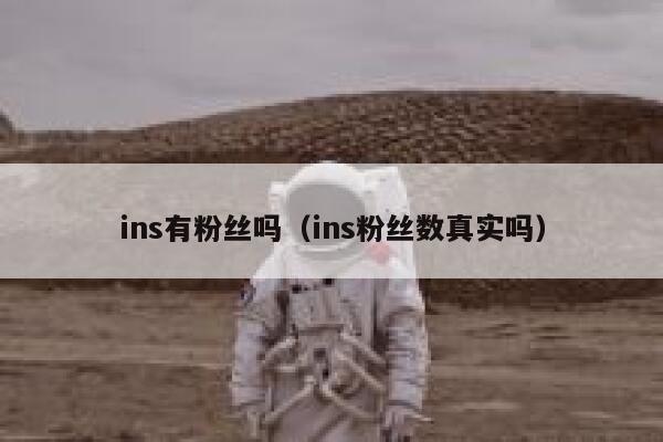 ins有粉丝吗（ins粉丝数真实吗） 第1张