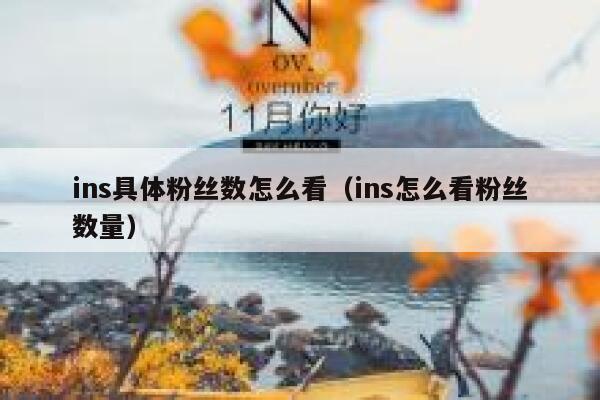 ins具体粉丝数怎么看(ins怎么看粉丝数量) 第1张 ins具体粉丝数怎么看(ins怎么看粉丝数量) 第1张