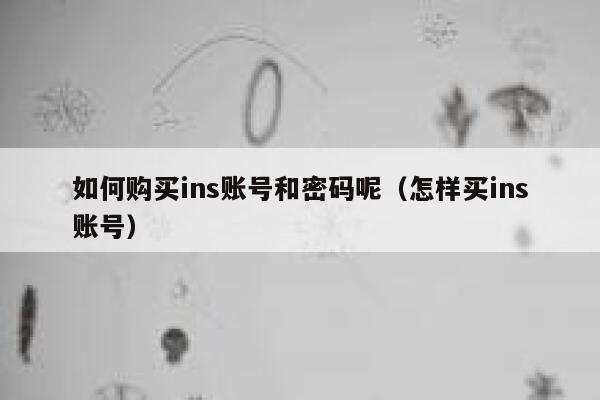 如何购买ins账号和密码呢（怎样买ins账号） 第1张