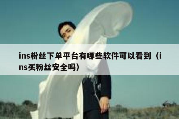 ins粉丝下单平台有哪些软件可以看到（ins买粉丝安全吗） 第1张