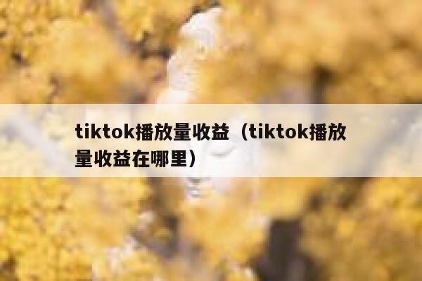 tiktok播放量收益（tiktok播放量收益在哪里） 第1张