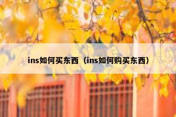 ins如何买东西（ins如何购买东西） 第1张
